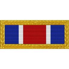 Tennessee National Guard Distinguished Unit Commendation (with Gold Frame)